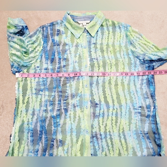 Erin London SZ XL Sheer Blouse Green Blue Stripe Textured Mesh Button Front Top - Picture 7 of 12